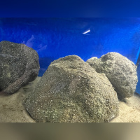 Malawistones – Natürliche Kunststeine