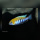 Cynotilapia Zebroides Cobue WFNZ