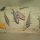 Labidochromis Hongi Lundo WFNZ