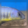 Mylochromis Spilostichus Makokola WFNZ