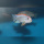 Pseudotropheus Red TOP Ndumbi WF